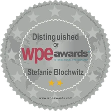 WPE Awards – Distinguished